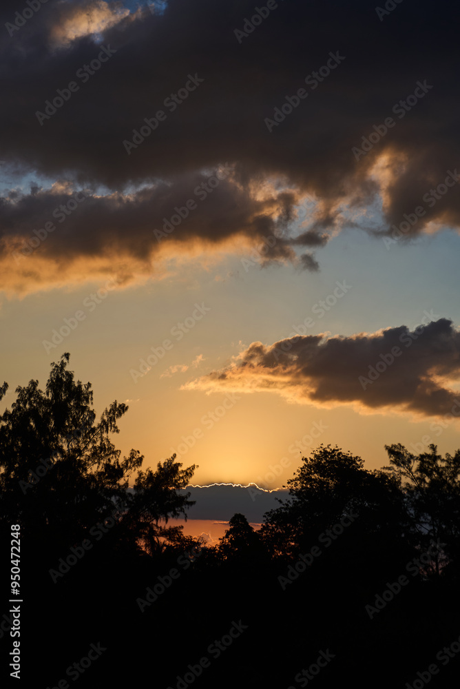 Fototapeta premium Beautiful sunset over the forest trees, aerial view