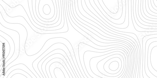 Abstract wave paper curved reliefs background .gradient multicolor wave curve lines banner background design .topographic contours map background .Vector geographic contour map.
