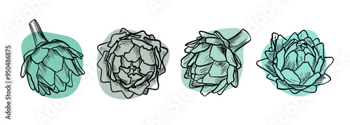 Hand drawn black marker set of artichokes. Vector food illustration on white isolated background. Simple one line outline for design, printing paper packaging, supermarket bags, farmers market.