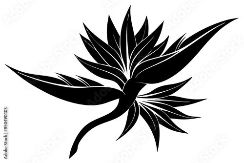 bird of paradise flower vector illustration