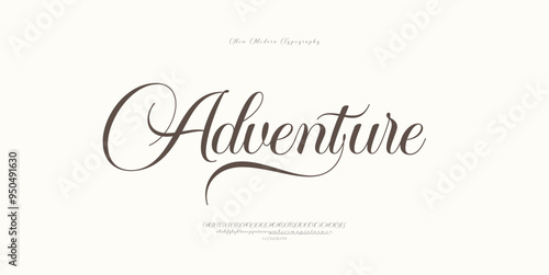 a script calligraphy font alphabet typography typeface handwritten wedding invitation greeting card