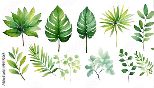 green leaves collection png