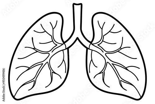 Human lungs line art vector illustration 
