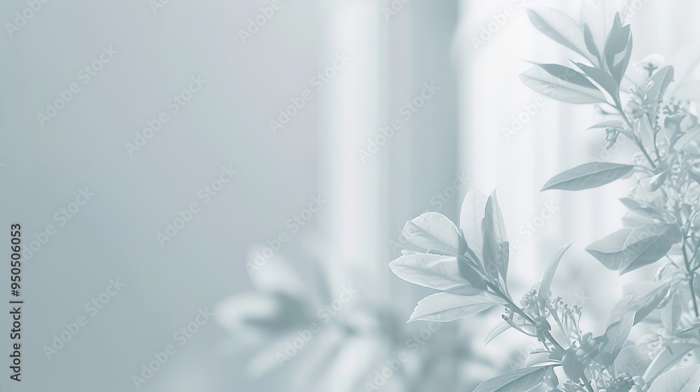 white flower in a vase white flower in a vase