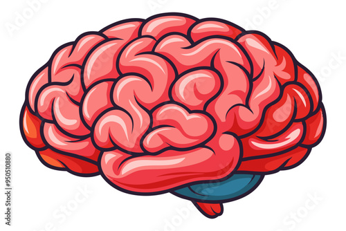 Human brain vector  illustration
