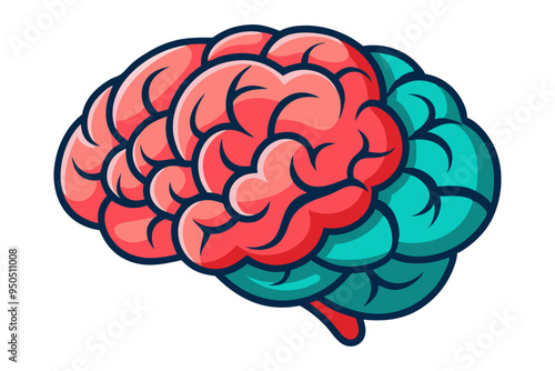 Human brain vector  illustration
