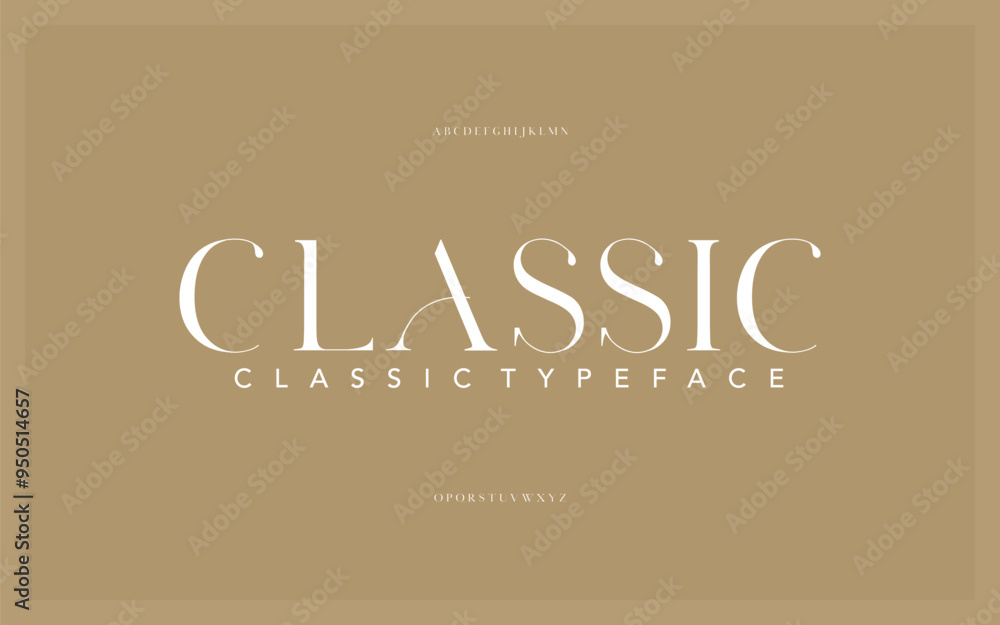 Classic premium luxury elegant alphabet letters and numbers. Vintage wedding typography classic serif font decorative vintage retro. creative vector illustration Classic premium luxury elegant alphabet letters and numbers. Vintage wedding typography classic serif font decorative vintage retro. creative vector illustration