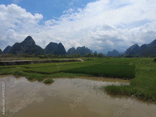 rice fields surrounded by mountains in Yangshuo, Guilin, China photo