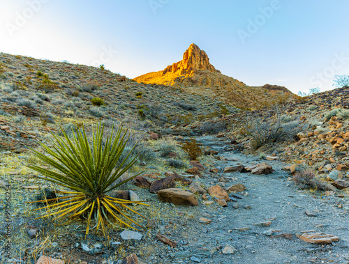 Park Peak at The Crest of The Saddle on The Cowboy Trail,  Sloan Canyon National Conservation Area, Nevada, USA