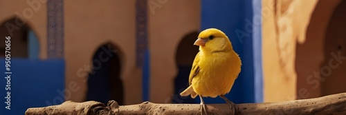 Obraz na płótnie bird, yellow, nature, wildlife, animal, beak, wild, blue, branch, avian, finch, feather, wing, canary, colorful, green, white, greenfinch, birds, beautiful, tree, feathers, songbird, passerine, parrot w salonie