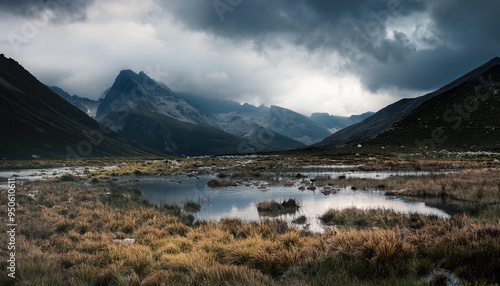 landscape nature dark mountains and a swamp