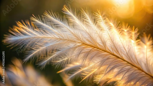 Delicate, intricate details of a soft, fluffy feather's barbs and shaft are magnified in stunning close-up, showcasing gentle curves and subtle textures in warm, natural light.