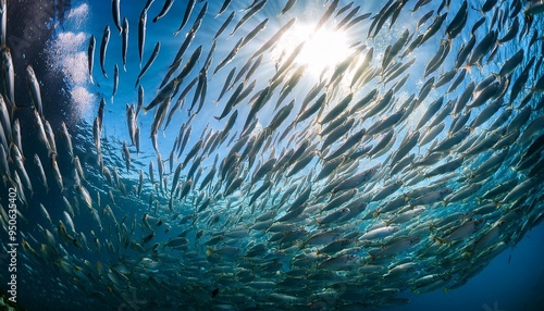 swarm of sardines in flawless formation each fish reflecting sunlight like liquid mirrors creating a shimmering underwater spectacle photo