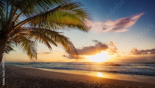 beautiful sunset at a tropical beach with palm tree