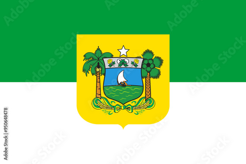 Flag of Rio Grande do Norte state (Federative Republic of Brazil), Jangada, Copernicia prunifera, coconut palm  photo