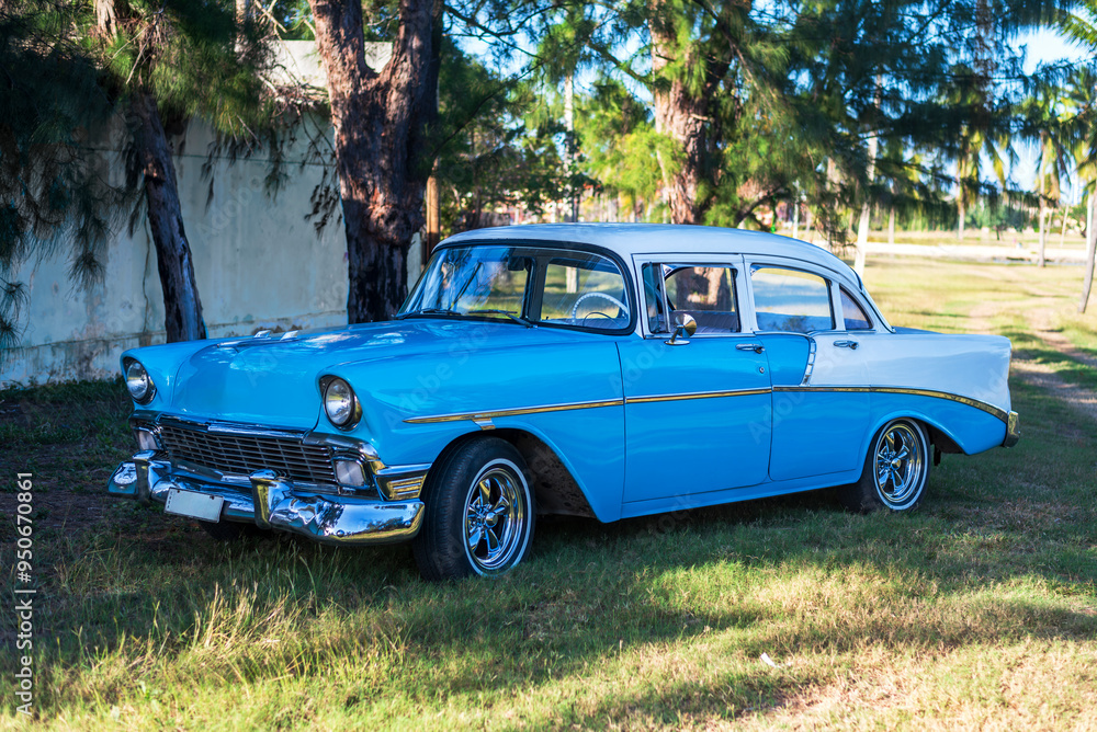 baby blue and white classic car in a park in havana cuba baby blue and white classic car in a park in havana cuba