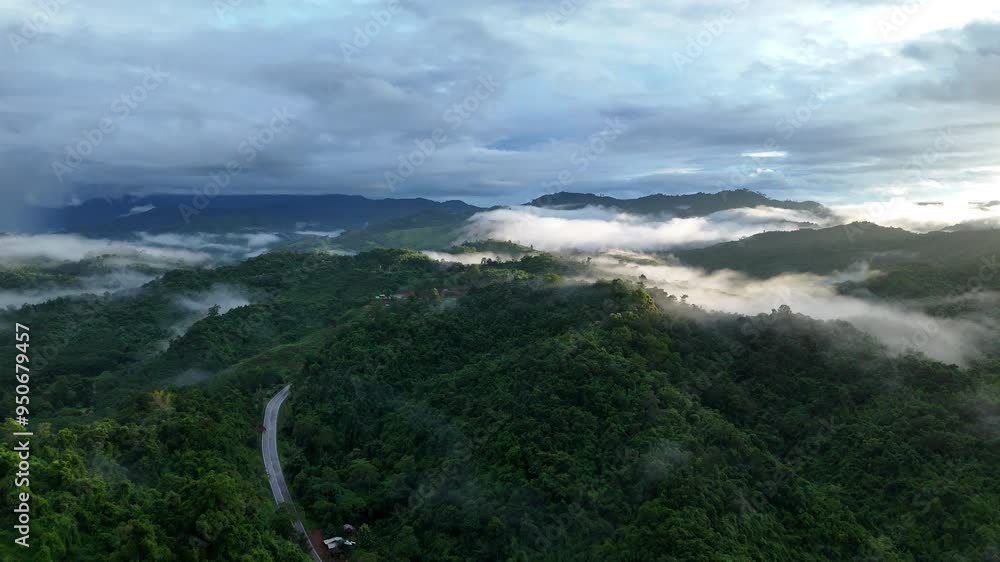 Aerial drone shot over primary Jungle tropical rain forest in Nan, Thailand. Aerial view, moving over a rainforest tree canopy in a slow pace beautiful green nature background of a tropical forest. Aerial drone shot over primary Jungle tropical rain forest in Nan, Thailand. Aerial view, moving over a rainforest tree canopy in a slow pace beautiful green nature background of a tropical forest.