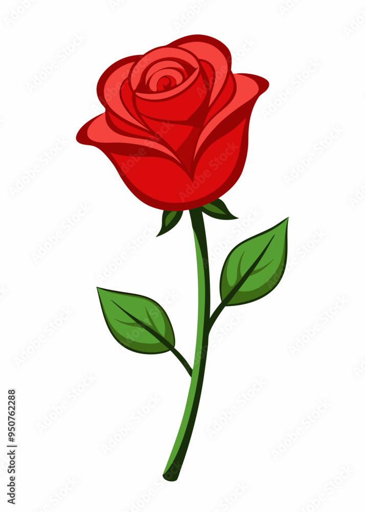 Obraz premium red rose isolated on white background
