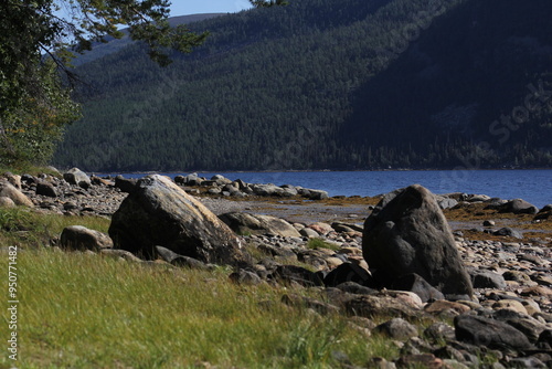The coastline of the White Sea, in summer, in July, in the Murmansk region, in the north.Tourism, deserted place of rest