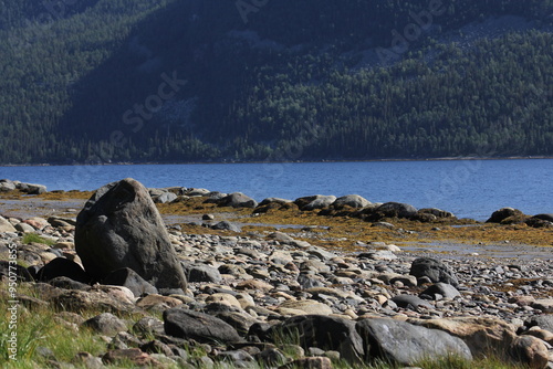 The coastline of the White Sea, in summer, in July, in the Murmansk region, in the north.Tourism, deserted place of rest