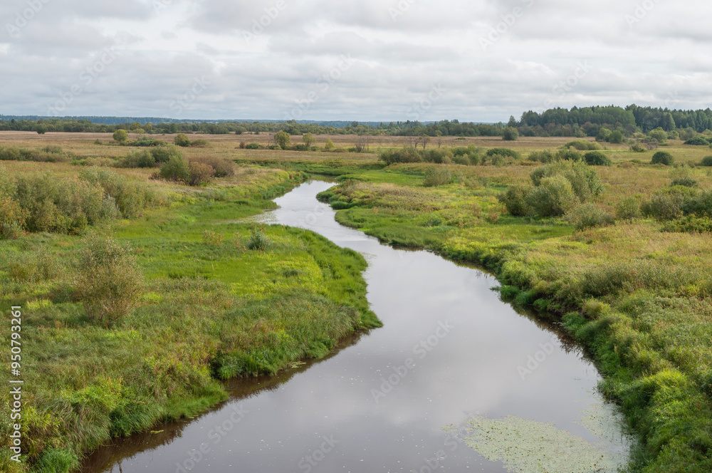 Obraz premium Country landscape with small Nyuma River in green tundra, summer time. Arkhangelsk region, Russia