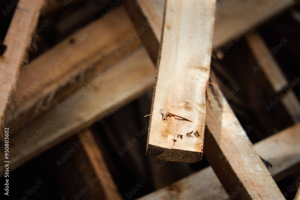 A pile of wood with a single piece of wood showing a nail hole. Scene is somewhat somber, as the pile of wood appears to be discarded or unwanted A pile of wood with a single piece of wood showing a nail hole. Scene is somewhat somber, as the pile of wood appears to be discarded or unwanted
