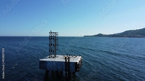 Un groupe de cormorans à aigrettes se reposant sur une vieille plateforme de ciment et de poutres d'acier suspendue au dessus de l'ocean sous un ciel bleu. photo