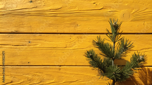 pine board texture background photo