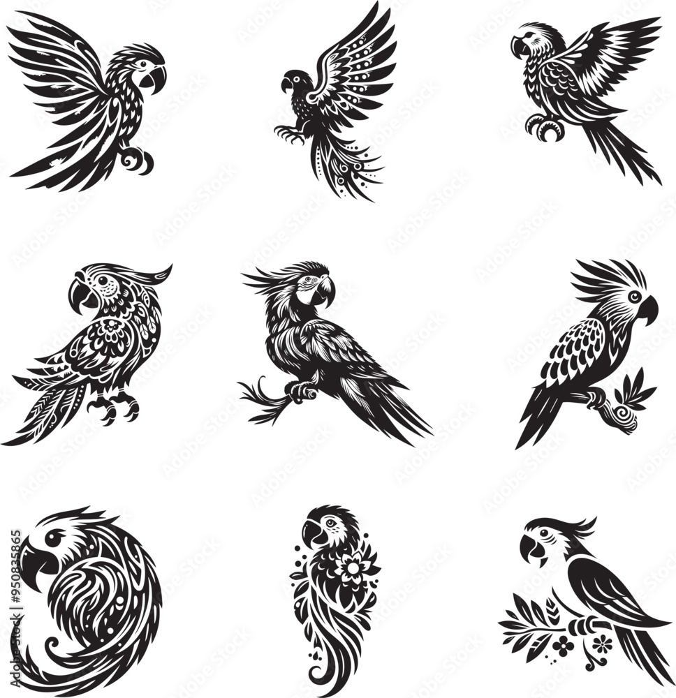 Fototapeta premium Black and white parrot silhouette design collection