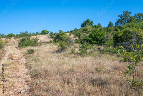 Summer Landscape of Rudina mountain, Bulgaria