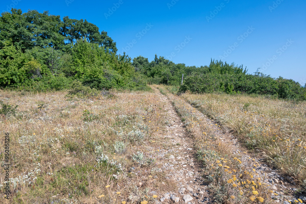Summer Landscape of Rudina mountain, Bulgaria Summer Landscape of Rudina mountain, Bulgaria