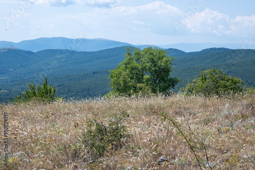 Summer Landscape of Rudina mountain, Bulgaria photo