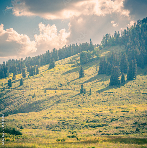 landscape in the mountains