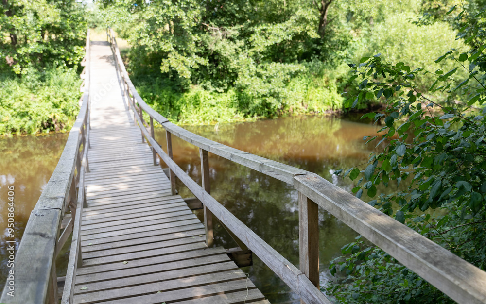 A captivating view of the geierlay suspension bridge, A captivating view of the geierlay suspension bridge,