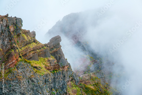 A mountain covered in fog and clouds with blooming Cytisus shrubs. Near Pico de Arieiro , Madeira island, Portugal