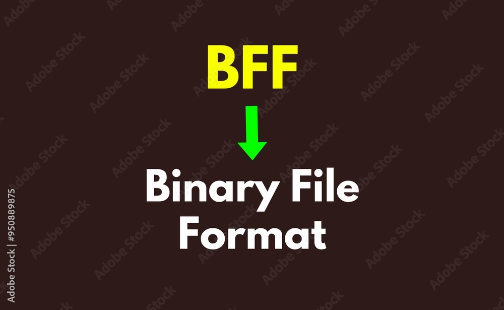 BFF Meaning, Binary File Format BFF Meaning, Binary File Format