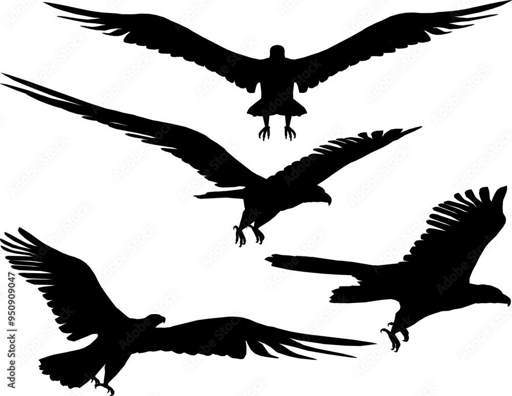 Vector sketch illustration silhouette design of an eagle animal image flying with wide wings looking for prey Vector sketch illustration silhouette design of an eagle animal image flying with wide wings looking for prey