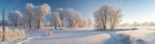 Frozen landscape in the morning light, with snow-covered ground, frosty trees, and a clear winter sky, creating a serene winter atmosphere, Serene, Cool Tones, Wide Angle