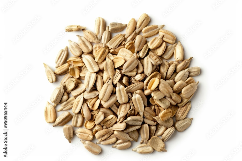 Bird s eye view of isolated sunflower seeds on white background Bird s eye view of isolated sunflower seeds on white background