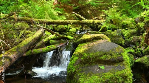 Waterfall Near Wallace, Idaho, on the Pulaski Tunnel Trail. photo