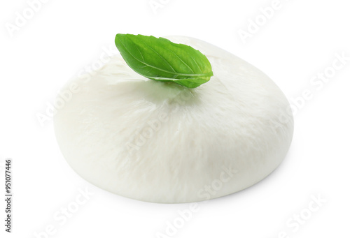 Delicious burrata cheese and basil isolated on white