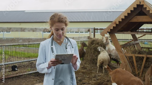 Medium shot of young Caucasian female veterinarian in white medical coat standing in cattle pen, watching goats graze on hay, and filling out report sheets on tablet while inspecting family farm photo