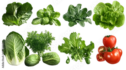Fresh green vegetables and tomatoes transparent background