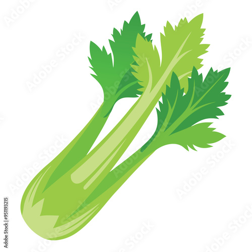 Fresh Celery Art, Vector, Icon and Graphic, Flat Vegetables Illustration Design On White Background