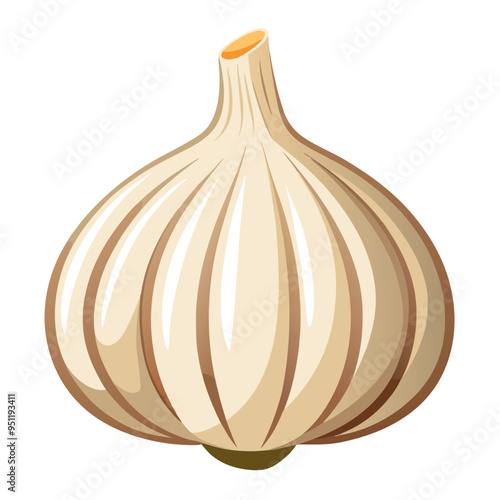 Fresh Garlic Art, Vector, Icon and Graphic, Flat Vegetables Illustration Design On White Background