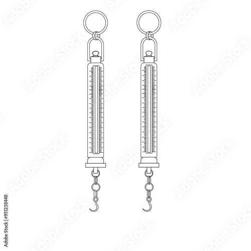 Illustration of Double Spring Scales with Hooks
