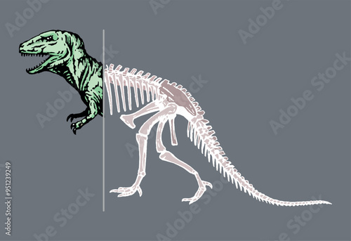 Illustration of dinosaur and fossil composition. Design for printing on t-shirts, posters, etc.