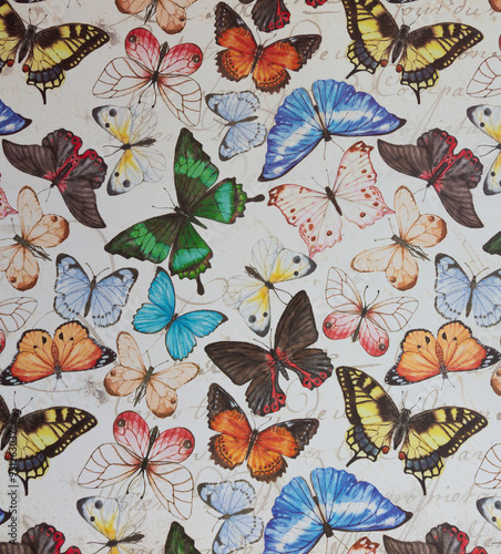 Beautiful Butterflies