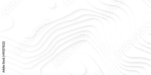 Minimal topography map light element shadow landscape, Abstract paper carve template. abstract colorful 3d papercut topography relief vector background illustration. 