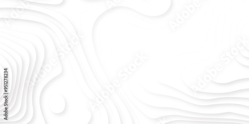 Minimal topography map light element shadow landscape, Background with lines Modern white carve wave line abstract luxury 3d papercut background.